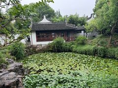 -上海醉白池公园