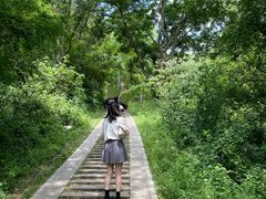 -青龙山国家森林公园