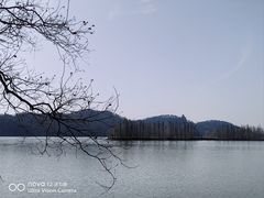 -东湖落雁景区