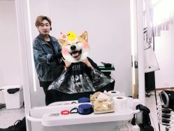 -MAGIC米几发型设计·羊毛卷