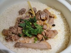 -大鸽饭(岗顶店)