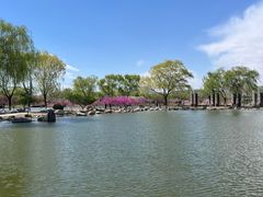 -石家庄市植物园
