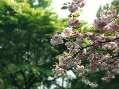 -荆川公园