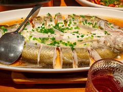 -鸽舞笙平金牌烧鸽子·融合菜(鲁谷店)