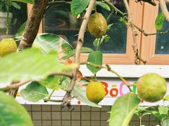 -ABCD咖啡屋(妇幼店)