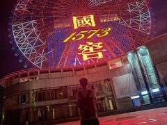 -星城之眼摩天轮
