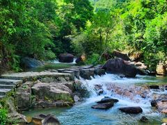 -广州白江湖森林公园