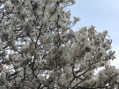 -颐和园