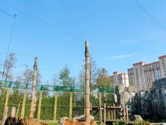-上海野生动物园