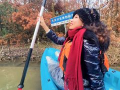 -上海海湾国家森林公园