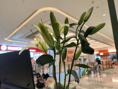 -南堂馆·新川菜(春熙路店)