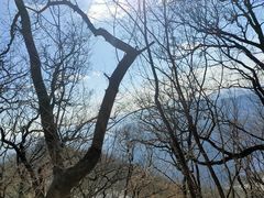 -九鼎铁刹山风景区