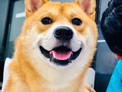 -爱妮康宠物医院·干细胞免疫细胞·肿瘤·心脏(张江店)