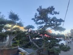 -沽上民肴·海鲜锅贴·天津菜(福州道鸿正家园店)