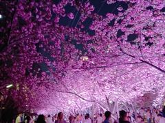 -西北湖绿化广场