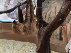 -正佳雨林生态植物园