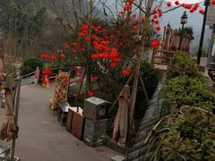 -楠柏弯休闲山庄(梨花溪店)