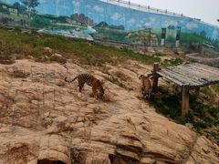 -西霞口神雕山野生动物世界