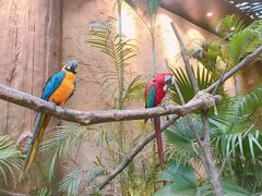 -杭州开元森泊度假乐园