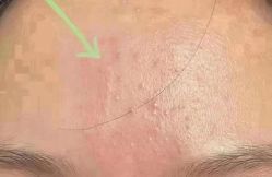 -Cream88颜皮肤管理中心