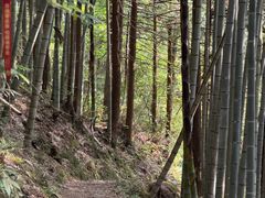 -公盂村