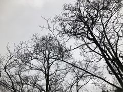 -杭州植物园