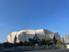 -杭州奥体中心-体育场