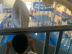 -上海海洋大学鱼文化博物馆(军工路校区)