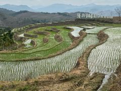 -牙胡梯田景区