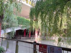 -杭州乐园