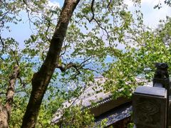 -灵顺寺