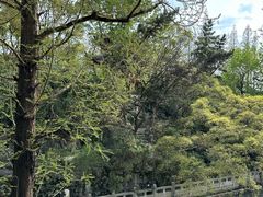 -汇龙潭