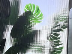 -WEGYMER健萌健身(雅颂居馆)