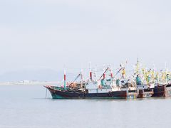 -沈家门渔港