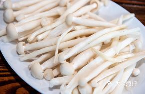 Fresh Tea Tree Mushroom (Raw)