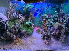 -南昌海洋公园