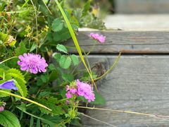 -白草畔自然风景区