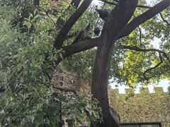 -J Create城市露营咖啡·简餐·宠物(上海动物园店)