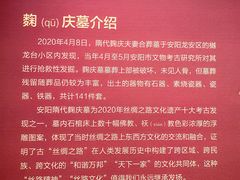 -安阳博物馆