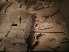 -洛阳周王城天子驾六博物馆