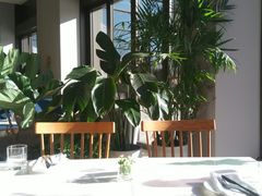 -The Rug Cafe(王府中环店)