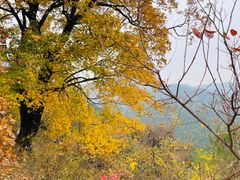 -香山公园