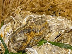 -星记小馆·小蓝龙·老南京砂锅菜(上海路店)