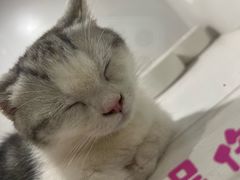 -杭州来福士中心