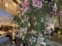 -深圳湾万象城(南山店)