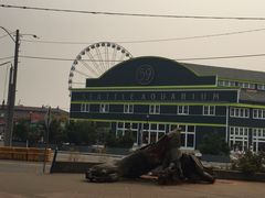 -西雅图水族馆