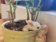 -三忘湖 SWANSEEN(柳荫公园店)