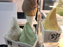 -野人先生现做冰淇淋(北京环宇荟店)
