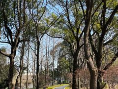 -新江湾城公园