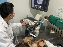 -小伙伴宠物医院·CT·骨科·眼科(高新店)
